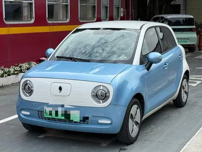 2019 Ora Black Cat 301km Standard, фото 1, лот 10435195
