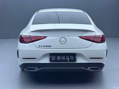 2021 Mercedes-Benz CLS Facelift CLS 300 Luxury, фото 4, лот 10252691