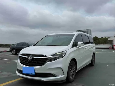 2021 Buick GL8 ES Landlord 653T Premium, фото 1, лот 10255445