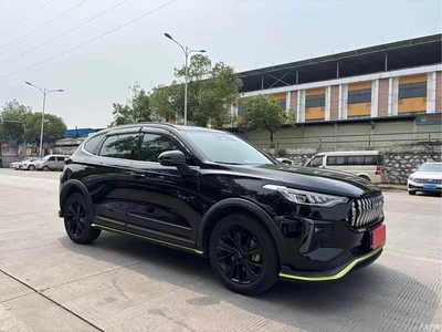 2021 Haval Chitu Turbo Edition 1.5T Golden Rabbit, фото 1, лот 10297728