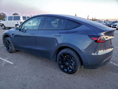 2023 TESLA MODEL Y, фото 2, лот 10618187