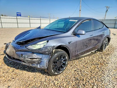 2021 TESLA MODEL Y, фото 1, лот 10663781