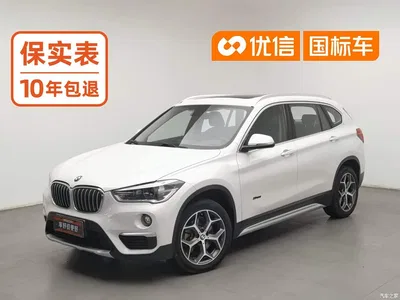 2018 BMW X1 xDrive20Li Premium Model, фото 1, лот 11203150