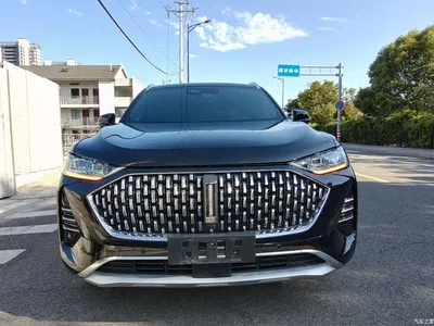 2021 WEY Mocha 2.0T 2WD Extra Rich Edition, фото 3, лот 11178198