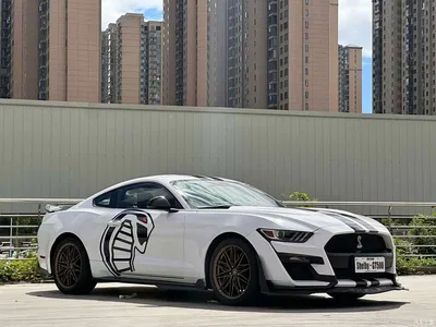 2017 Ford Mustang 2.3T Performance Edition, фото 3, лот 10281177