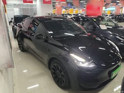 2022 Tesla Model Y Facelift Rear-Wheel Drive Version, фото 4, лот 10369553