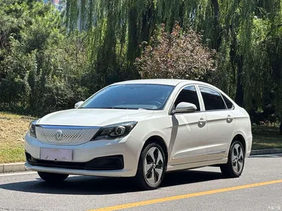 2022 Dongfeng Aeolus Dongfeng Fengshen E70 500 Ultra Edition, фото 1, лот 11161139