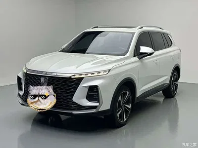 2022 Roewe RX5 MAX 1.5T Auto Youwei Flagship, фото 1, лот 11133205