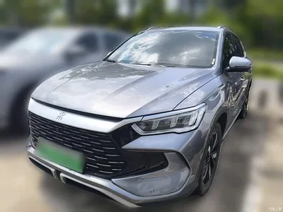 2024 BYD Song Pro New Energy Glory Edition DM-i 71KM Pilot, фото 3, лот 10386769
