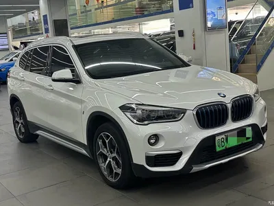 2018 BMW X1 New Energy xDrive25Le Luxury Model, фото 3, лот 10767641