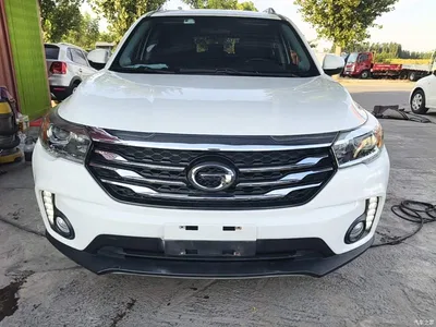 2017 GAC Trumpchi Trumpchi GS4 235T Automatic 2WD Luxury Smart Connected Edition, фото 3, лот 10334929