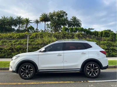2018 Roewe RX5 30T 2WD Automatic Internet Smart Enjoy, фото 3, лот 10449090