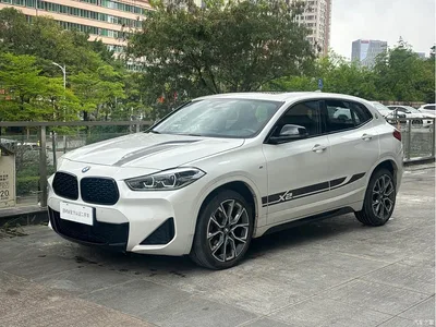 2022 BMW X2 xDrive25i Black Night Edition, фото 1, лот 10475536
