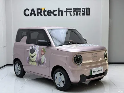 2024 Geely Galaxy Panda mini 200km Endurance Bear, фото 4, лот 10431174