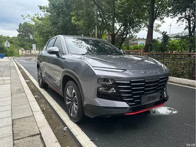 2023 Jetour Dasheng 1.5T DCT Starlight PRO, фото 3, лот 10826929