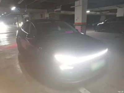 2025 Tesla Model Y Rear-Wheel Drive, фото 4, лот 10461225