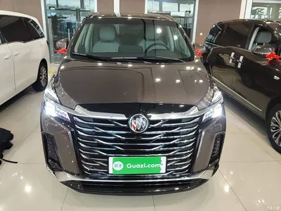2023 Buick GL8 Model Land Business Class Comfort, фото 3, лот 10259644