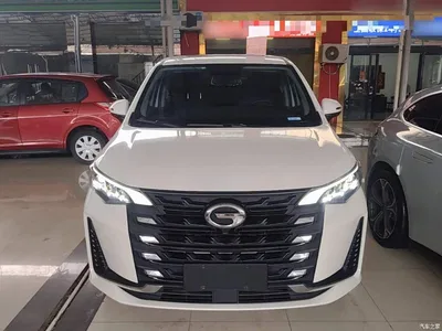 2021 GAC Trumpchi Trumpchi M6 270T DCT Premium Edition (7-seater), фото 3, лот 11545553