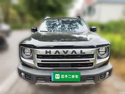 2024 Haval Big Dog 1.5T DCT Border Collie Edition, фото 3, лот 10420832