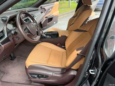 2020 Lexus ES 200 Excellence, фото 4, лот 10445683