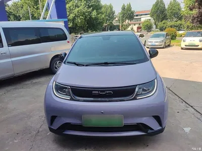 2023 BYD Dolphin 420km Fashion Edition, фото 3, лот 10259392
