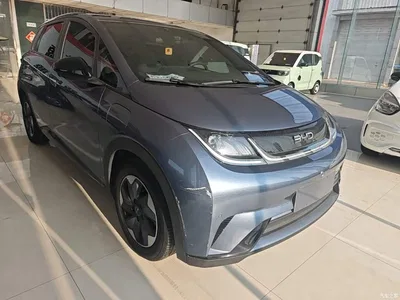 2024 BYD Dolphin Glory Edition 420km Fashion Edition, фото 4, лот 11138856