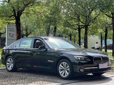 2009 BMW 7 Series 730Li Leading, фото 3, лот 10459403