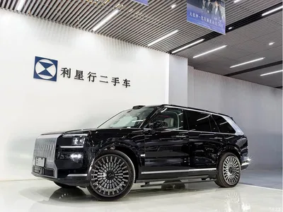 2025 ZEEKR 9X Standard Edition, фото 1, лот 11074381