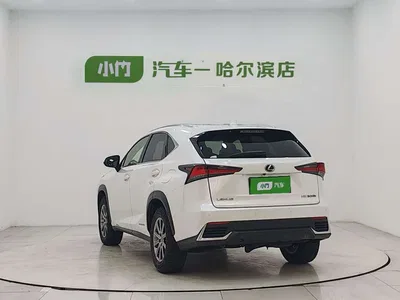 2020 Lexus NX 300h FWD F Sport China VI, фото 4, лот 10311075