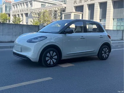 2024 Wuling Motors Wuling Bingo 333km Smart Connect Edition, фото 1, лот 10662937