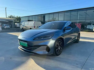 2024 BYD Seal 06 New Energy DM-i 120KM Premium, фото 1, лот 10273161