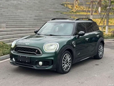 2018 MINI COUNTRYMAN 2.0T COOPER S ALL4 Racer, фото 1, лот 10331244