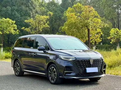 2021 Roewe iMAX8 400TGI Supreme Series Honor, фото 3, лот 10339094