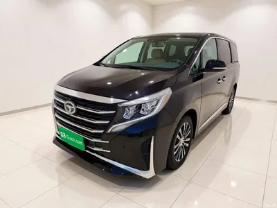 2021 GAC Trumpchi Trumpchi M8 Leading Show Series 390T Prestige Edition, фото 1, лот 10387778