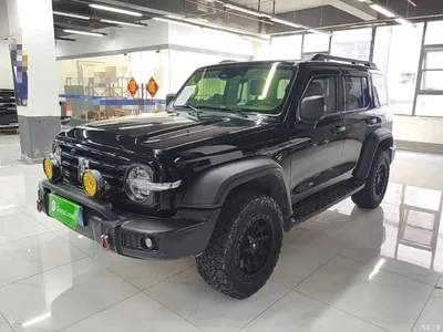 2021 Tank 300 Off-road Version 2.0T Conqueror, фото 2, лот 10345319