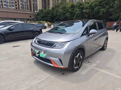 2021 BYD Dolphin Model 405km Fashion Edition, фото 1, лот 10257386