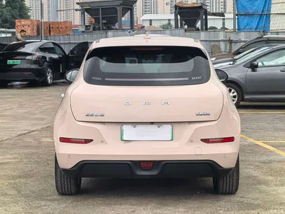 2022 Ora Good Cat Model Morandi Edition 400km Standard Range Luxury LFP, фото 4, лот 11213150