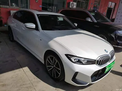 2024 BMW 3 Series 320Li M Sport Package, фото 4, лот 10478757