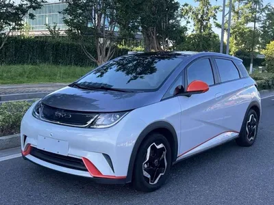 2021 Byd Dolphin, фото 1, лот 10245738