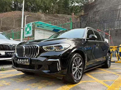 2023 BMW X5 xDrive 30Li Premium M Sport Package, фото 1, лот 10462878