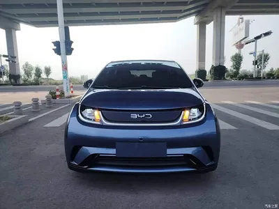 2025 BYD Dolphin 420km Freedom Edition, фото 3, лот 10816009