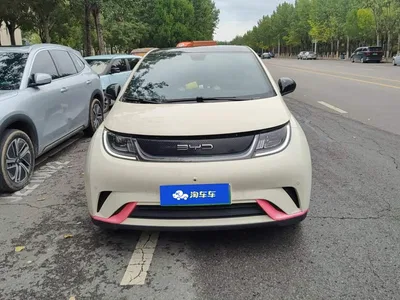 2023 BYD Dolphin 420km Fashion Edition, фото 2, лот 10257995