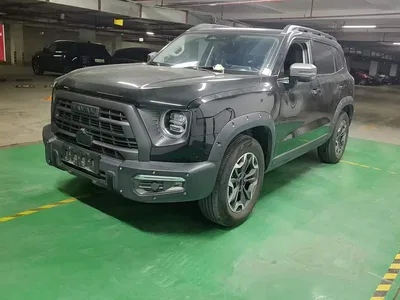 2024 Haval Big Dog 2.0T DCT Chinese Rural Dog Edition, фото 1, лот 10386422