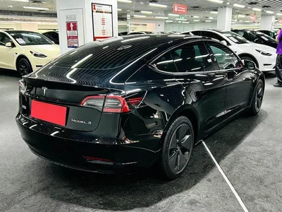 2022 Tesla Model 3 Model Rear-Wheel Drive Version, фото 4, лот 10354858