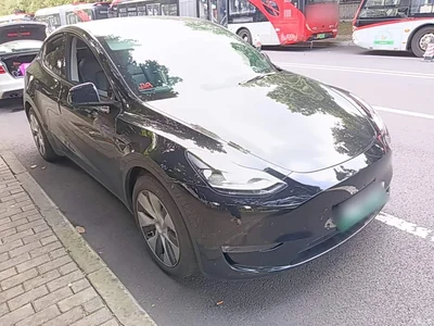 2021 Tesla Model Y Standard Range Rear-Wheel Drive, фото 4, лот 10370075