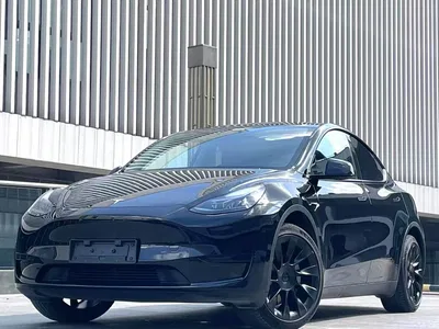 2024 Tesla Model Y Long Range AWD, фото 1, лот 11081339