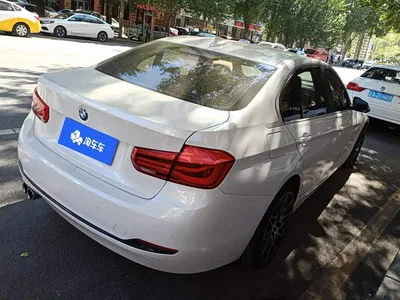 2019 BMW 3 Series 320Li xDrive Fashion Type, фото 3, лот 11570108