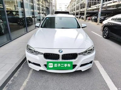 2017 BMW 3 Series 320Li M Sport, фото 3, лот 10457348