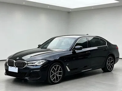 2021 BMW 5 Series 530Li Premium M Sport Package, фото 3, лот 10625057