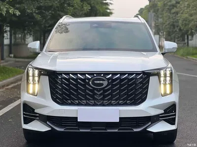 2025 GAC Trumpchi Trumpchi GS8 Pilot Series 2.0TGDI AWD Luxury Edition 5-Seater, фото 2, лот 10415147